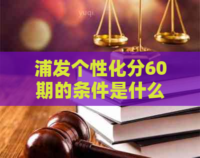 浦发个性化分60期的条件是什么