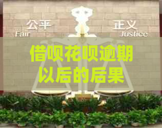 信用卡白条逾期以后的后果