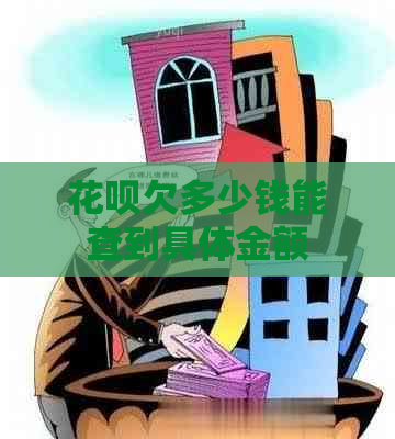 白条欠多少钱能查到具体金额