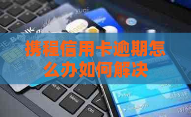 携程信用卡逾期怎么办如何解决
