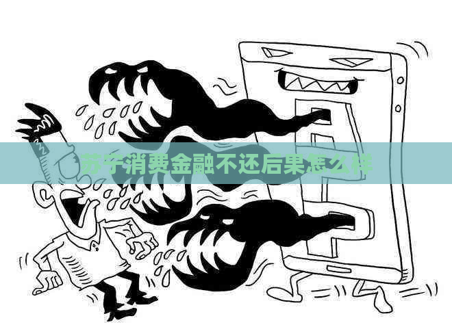 苏宁消费金融不还后果怎么样