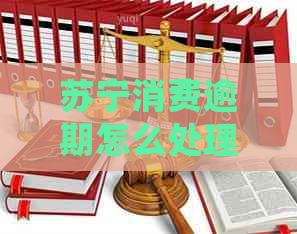 苏宁消费逾期怎么处理