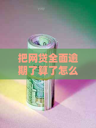 把网贷全面逾期了算了怎么办