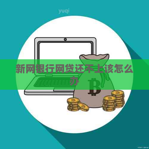 新网银行网贷还不上该怎么办