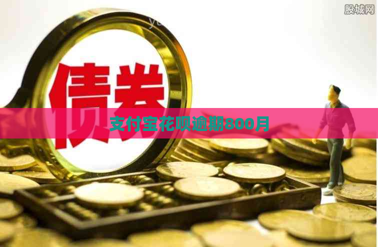 信用卡白条逾期800月