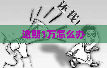 逾期1万怎么办
