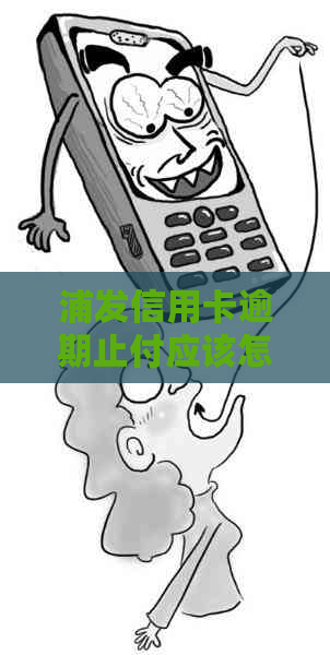 浦发信用卡逾期止付应该怎么处理