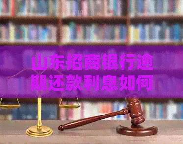 山东招商银行逾期还款利息如何计算