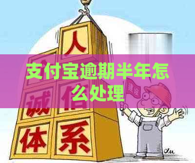 信用卡逾期半年怎么处理