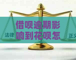 信用卡逾期影响到白条怎么办及时解决方法