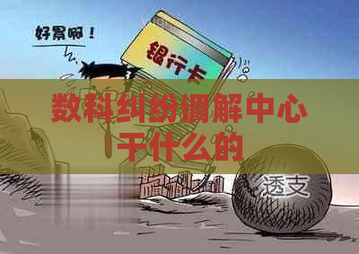 数科纠纷调解中心干什么的