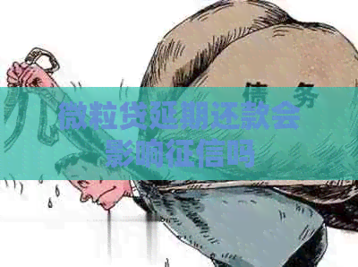 微粒贷延期还款会影响吗