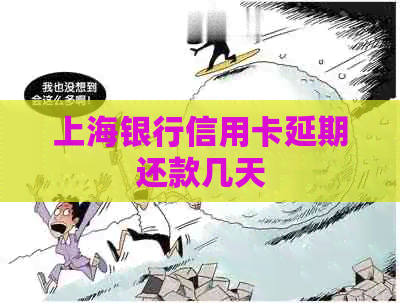 上海银行信用卡延期还款几天