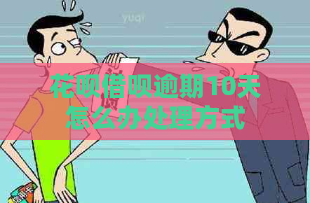 白条信用卡逾期10天怎么办处理方式