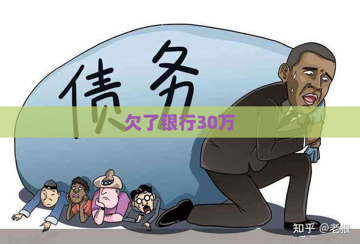 欠了银行30万