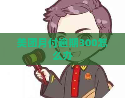 美团月付逾期300怎么办