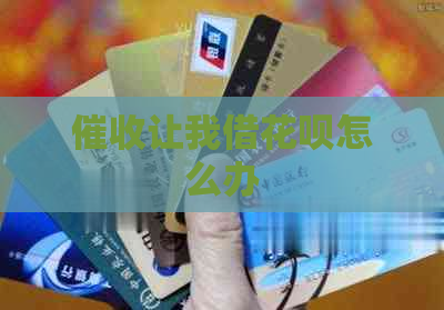让我借花呗怎么办