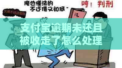 支付宝逾期未还且被收走了怎么处理