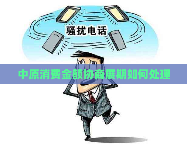 中原消费金额协商展期如何处理