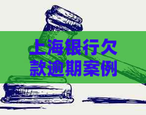 上海银行欠款逾期案例调查
