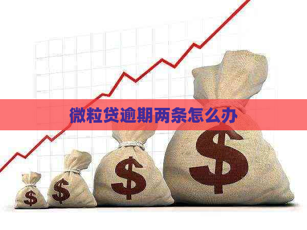 微粒贷逾期两条怎么办