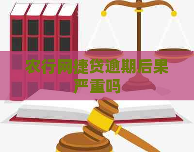 农行网捷贷逾期后果严重吗