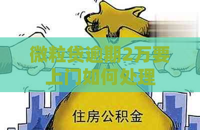 微粒贷逾期2万要上门如何处理
