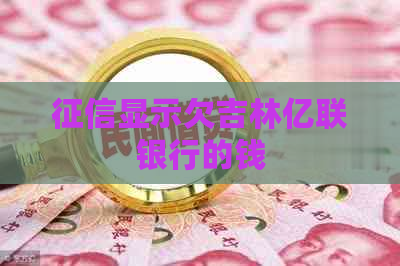 显示欠吉林亿联银行的钱