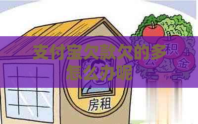 支付宝欠款欠的多怎么办呢