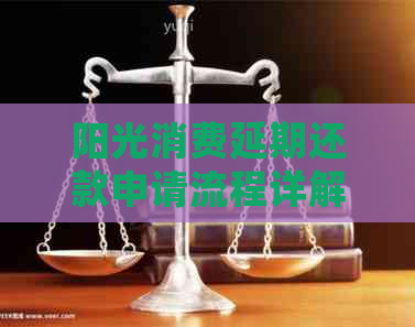 阳光消费延期还款申请流程详解