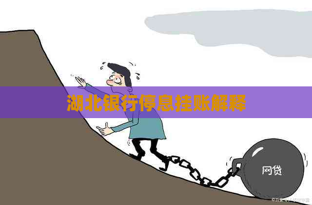湖北银行停息挂账解释