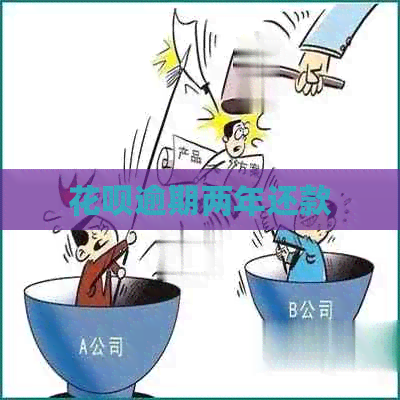 白条逾期两年还款