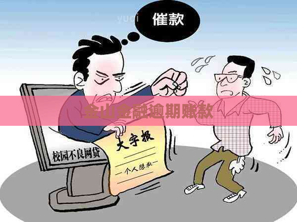 金山金融逾期账款 金山金融逾期账款