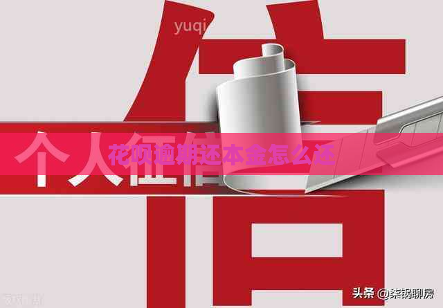 花呗逾期还本金怎么还
