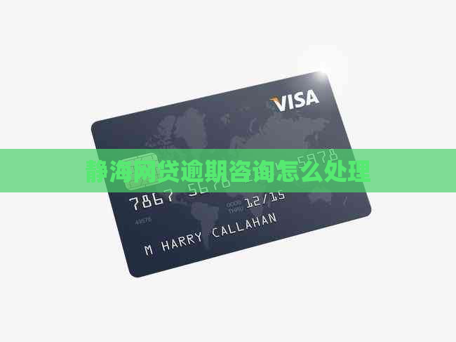 静海网贷逾期咨询怎么处理