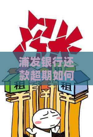 浦发银行还款超期如何处理