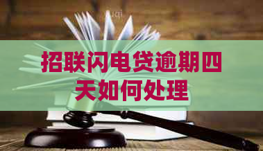 招联闪电贷逾期四天如何处理
