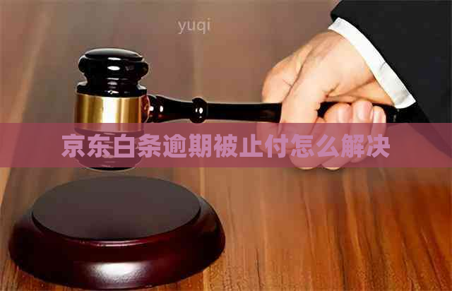 京东白条逾期被止付怎么解决