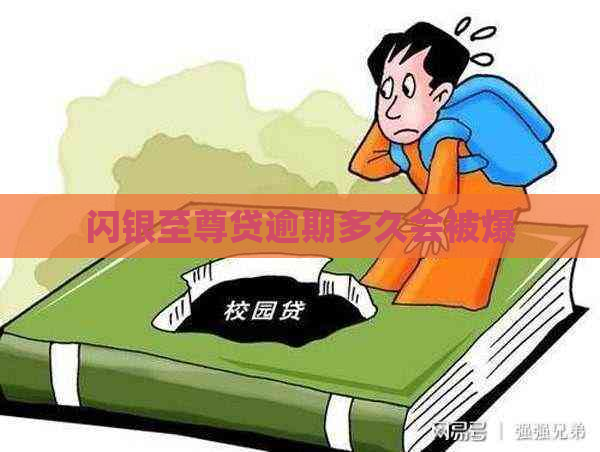 闪银至尊贷逾期多久会被爆
