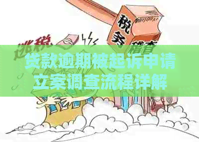 贷款逾期被起诉申请立案调查流程详解