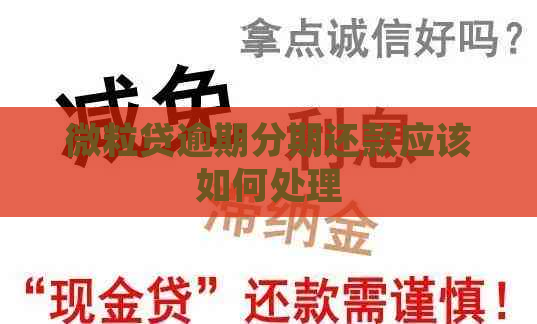 微粒贷逾期分期还款应该如何处理