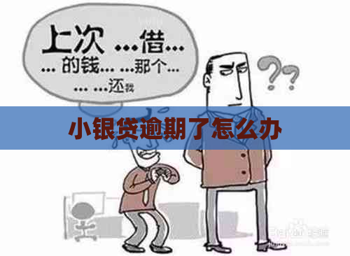 小银贷逾期了怎么办