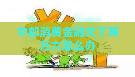 中邮消费金融欠了两万六怎么办