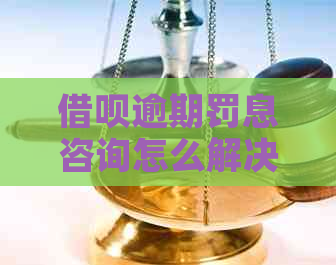 信用卡逾期罚息咨询怎么解决