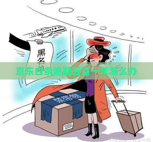 京东白条逾期五百一年怎么办