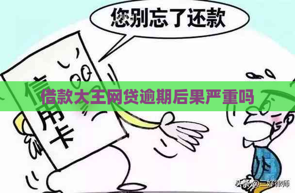 借款大王网贷逾期后果严重吗