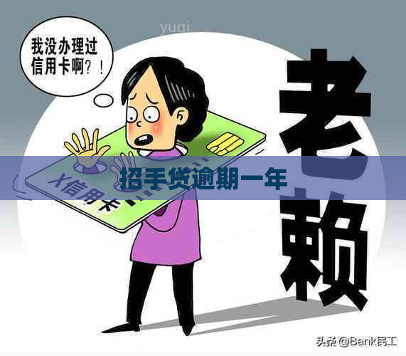 招手贷逾期一年