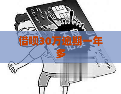信用卡30万逾期一年多