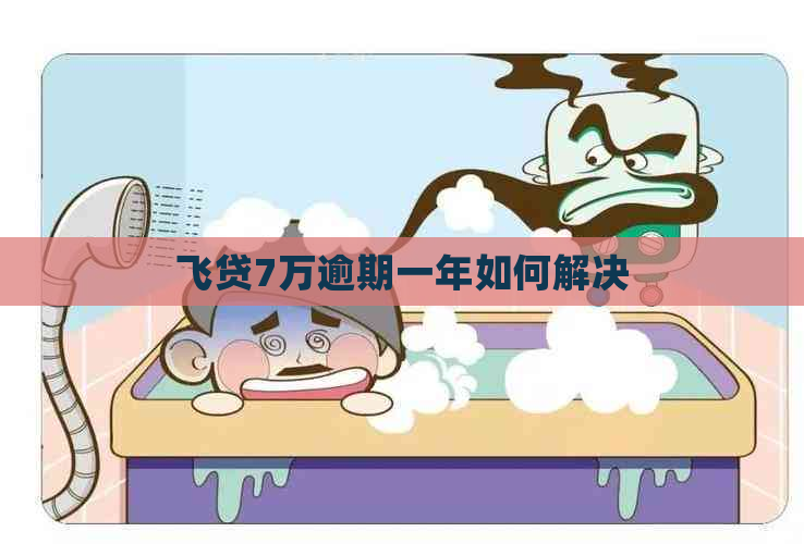 飞贷7万逾期一年如何解决