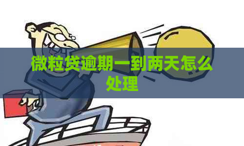 微粒贷逾期一到两天怎么处理